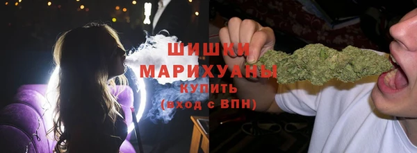 прущая мука Инсар