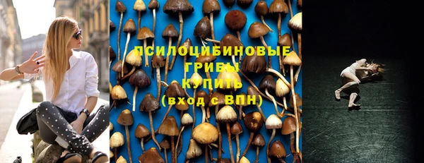 дмт Зерноград