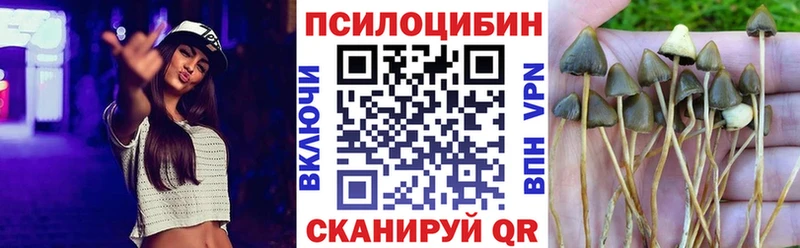 Купить Зарайск Галлюциногенные грибы Cubensis